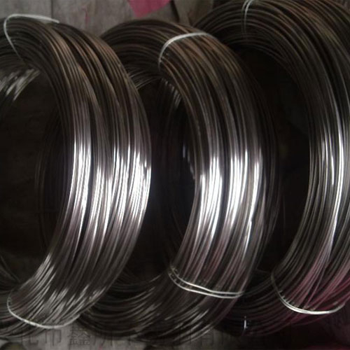 Stainless Steel Wire
