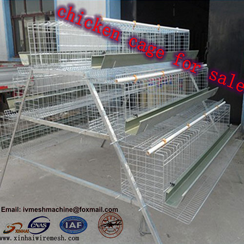 Poultry Chicken Cage